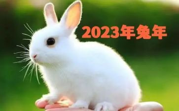 2023国旗下学生讲话稿7篇