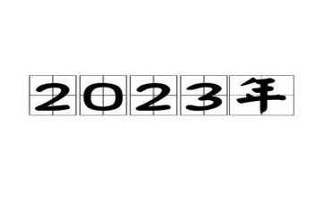 机关2023年个人总结优秀5篇