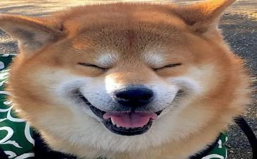 快乐假期游作文参考7篇